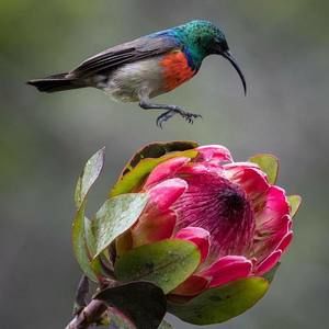 Meet your Posher, Denise